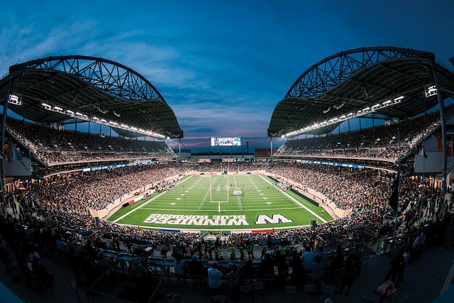 批潛力股球 批潛力股球