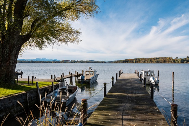 注入了新的 注入了新的