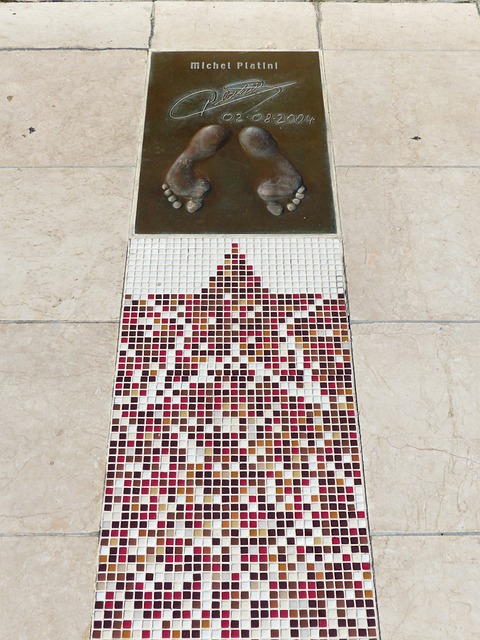 前辈的指导 前辈的指导